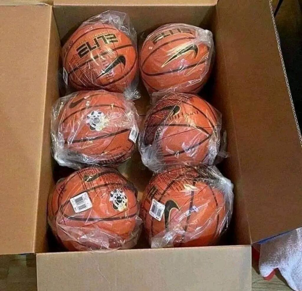 Palette de basketball Elite